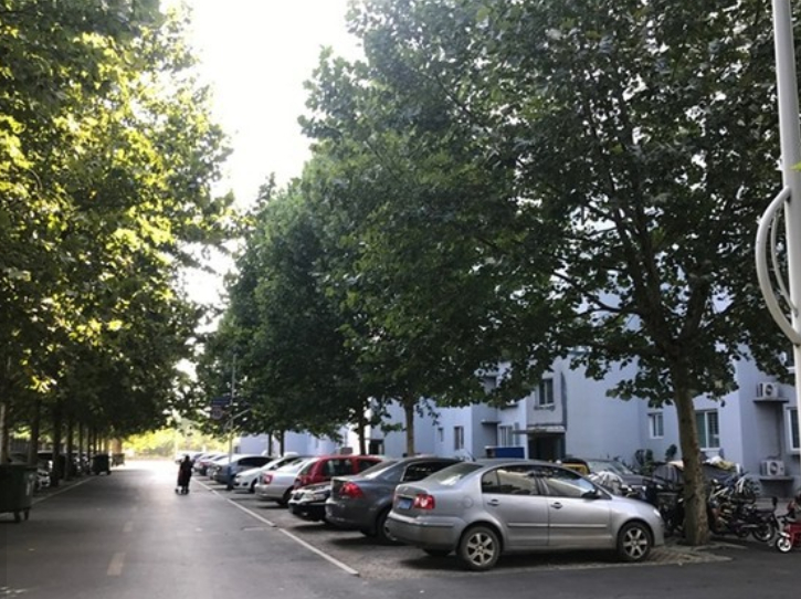 （2009年）鄒平一中翠微園1號、2號、6號樓鑒定